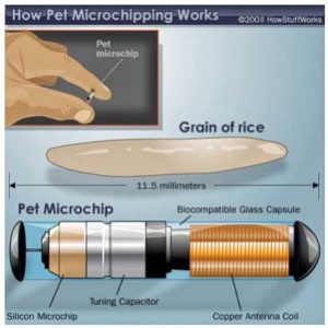 microchip-howstuffworks