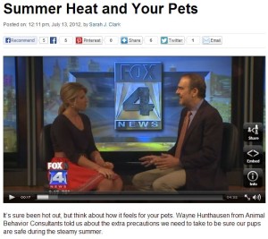 WDAF-HeatInterview