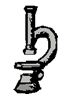 microscope