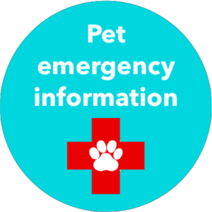 Pet emergencies